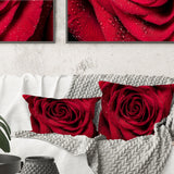 Red Rose Petals with Rain Droplets - Floral Throw Pillow