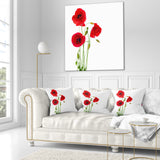 Isolated Red Poppy Flowers - Floral Throw Pillow