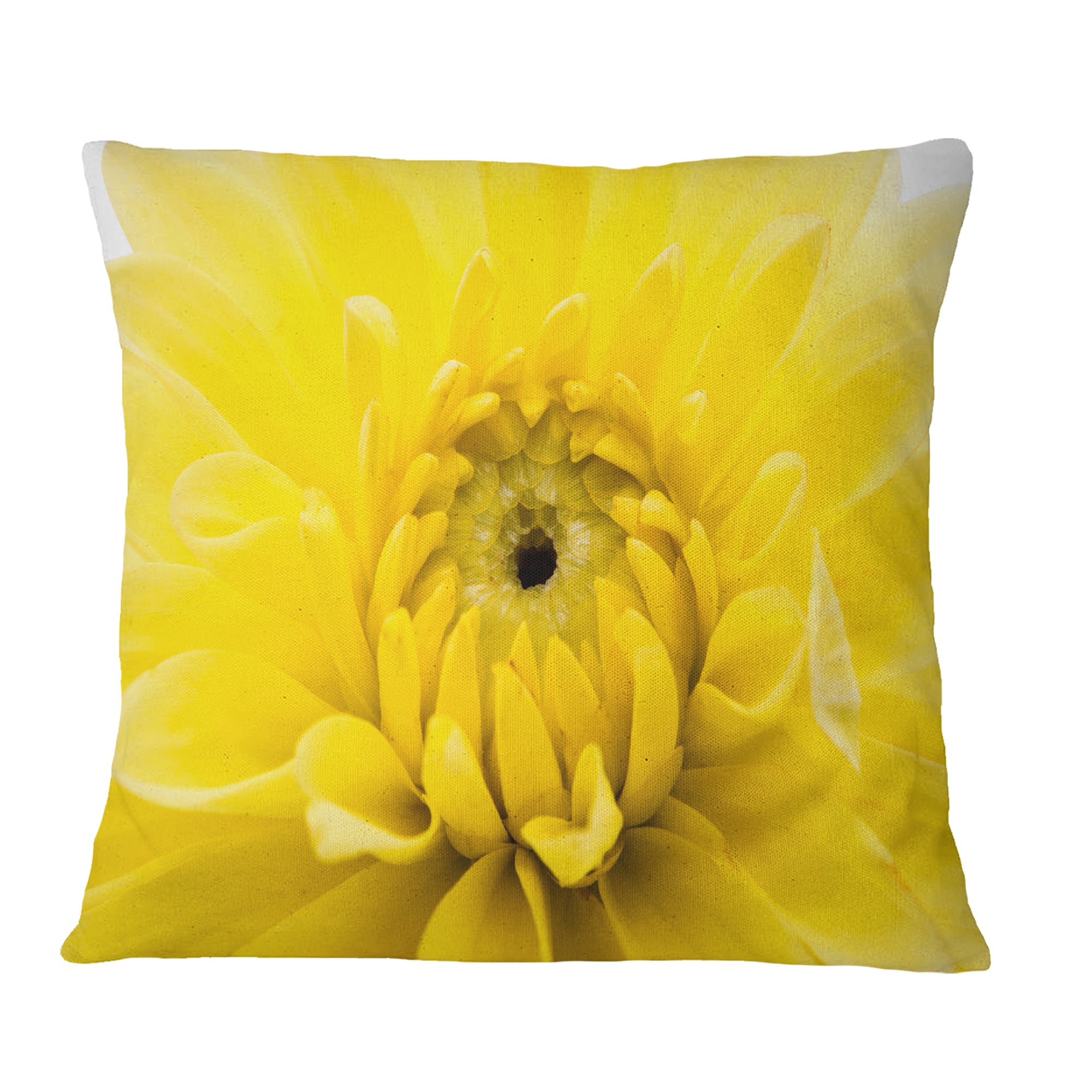 Yellow Chrysanthemum Gold Flower - Flower Throw Pillow