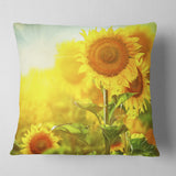 Bright Sunflowers Blooming on Field - Animal Throw Pillow