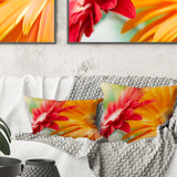 Red and Yellow Daisy Flower - Floral Throw Pillow
