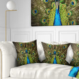 Grand Peacock - Animal Throw Pillow