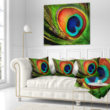 Peacock Feather - Photography Throw Pillow