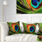 Peacock Feather - Photography Throw Pillow