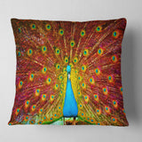 Peacock Dancing - Animal Throw Pillow