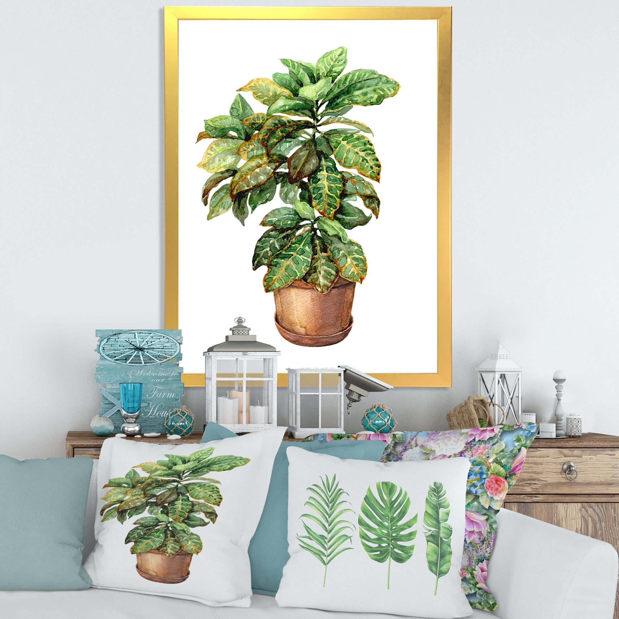 Croton In Clay Flowerpot