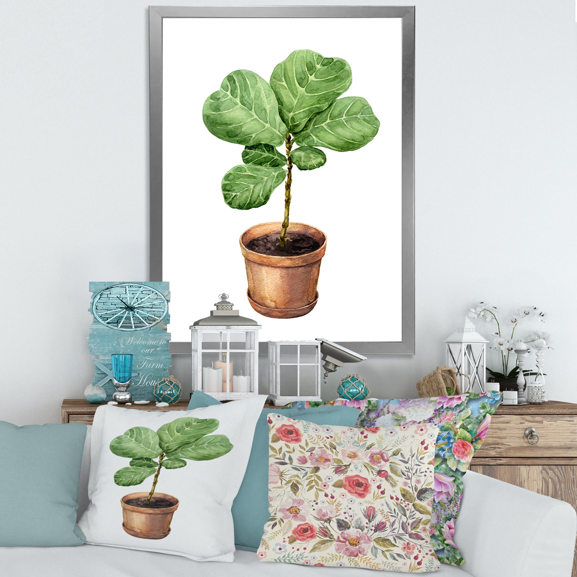 Ficus Lyre In Clay Flowerpot