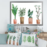 Duo of Potted Flowers House Plants