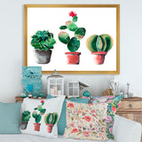 Three Cactus In Clay Pots