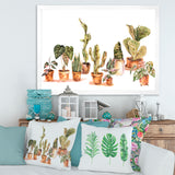 Indoor House Plants Urban Jungle I