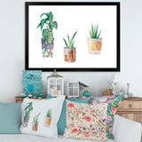 Three Potted Houseplants
