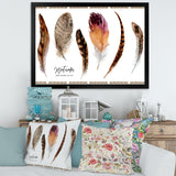 Exotic Vibrant Boho Feathers