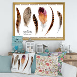 Exotic Vibrant Boho Feathers