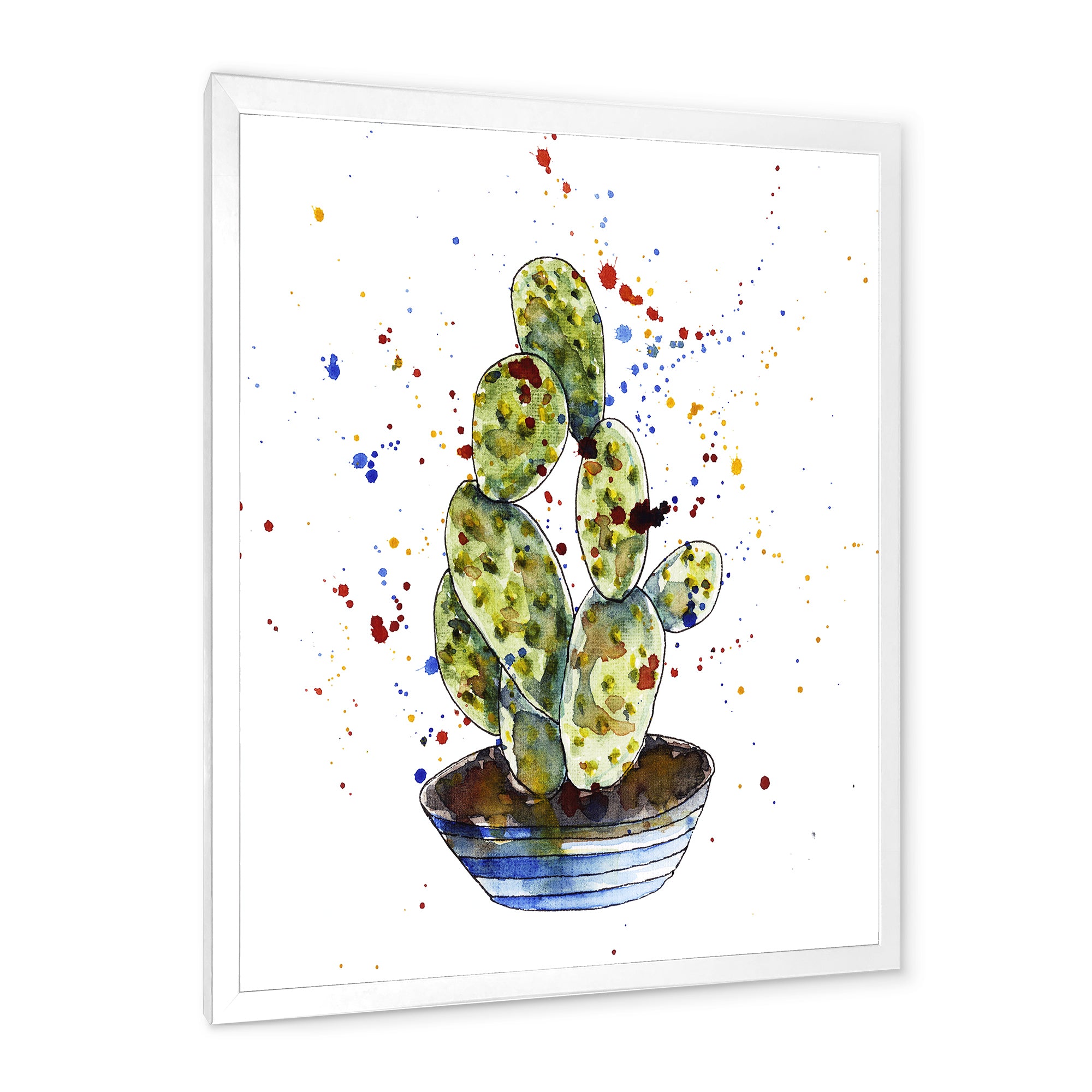 Cactus Houseplant