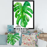 Tropical Leaf Of Monstera I