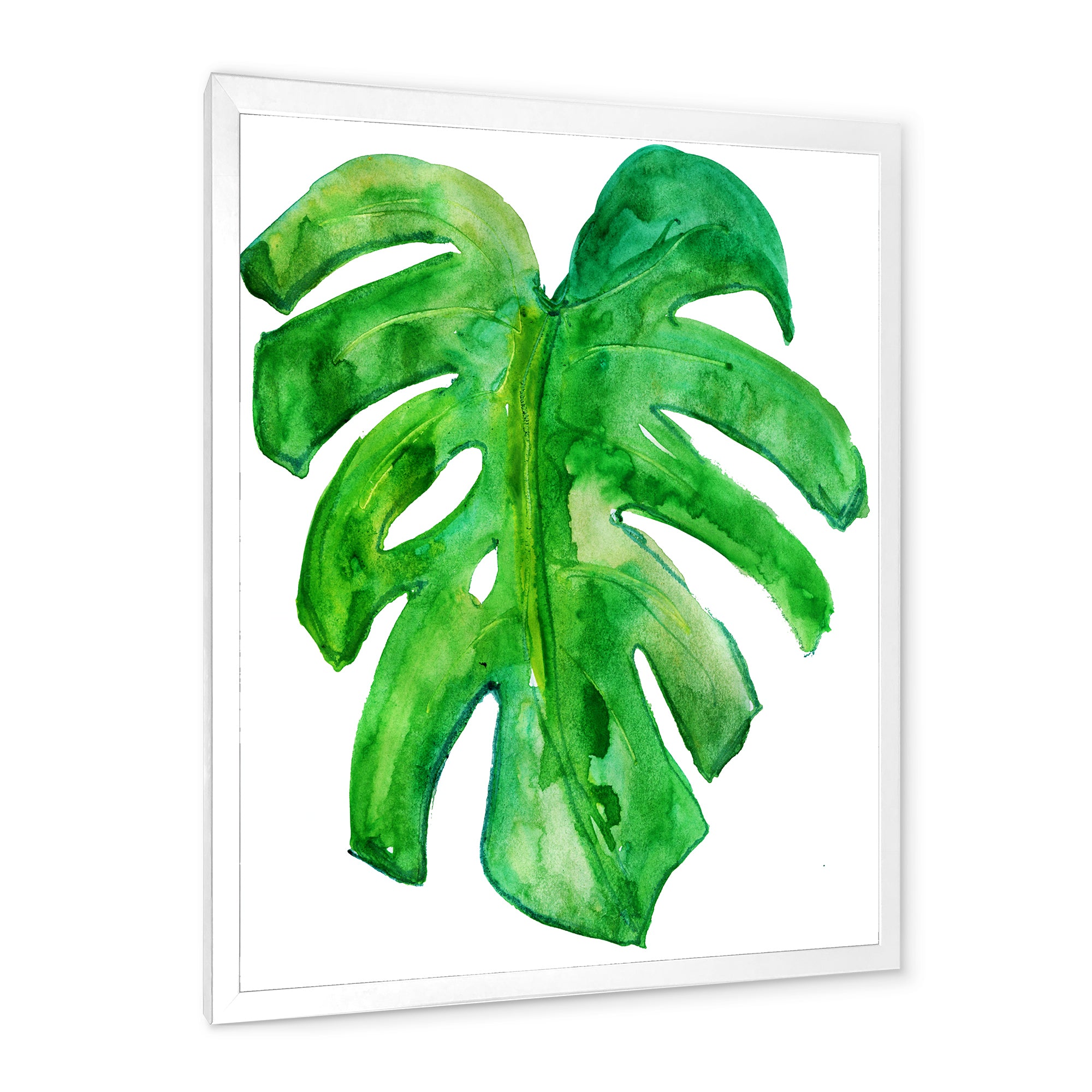 Tropical Leaf Of Monstera I