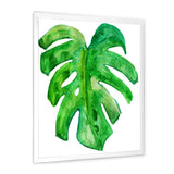 Tropical Leaf Of Monstera I