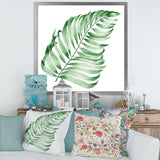 Tropical Leaf Of Monstera II