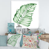Tropical Leaf Of Monstera II
