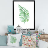 Tropical Leaf Of Monstera III