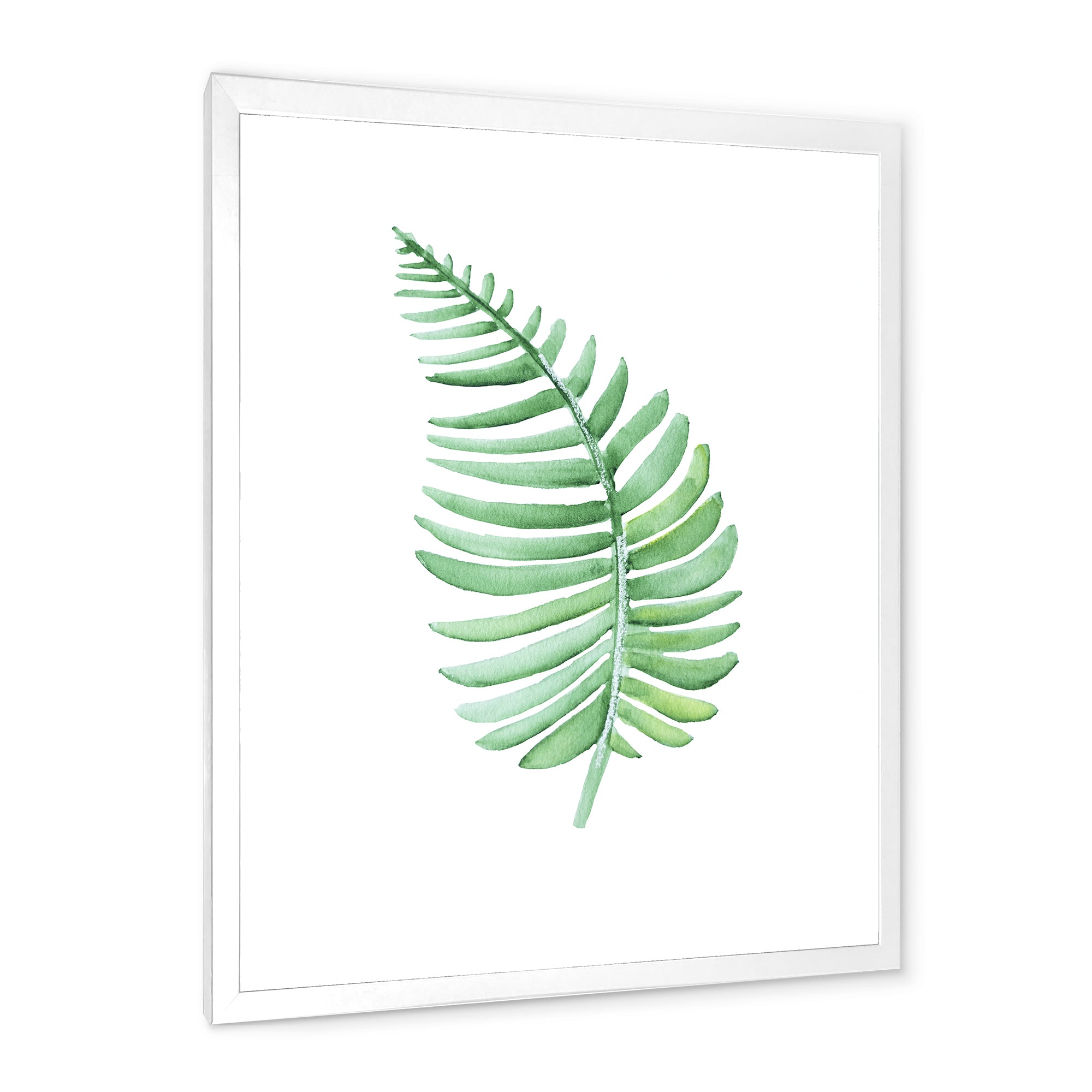 Tropical Leaf Of Monstera III