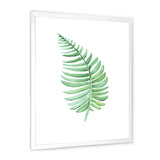 Tropical Leaf Of Monstera III