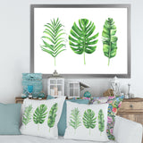 Tropical Leaf Of Monstera IV