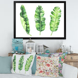 Tropical Banana Leaves Set