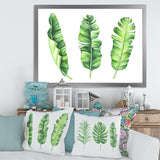 Tropical Banana Leaves Set
