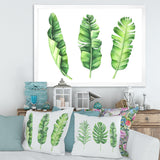 Tropical Banana Leaves Set