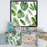 Tropical Leaf Of Monstera V