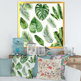 Tropical Leaf Of Monstera V