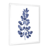 Navy Blue Eucalyptus II