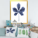 Navy Blue Chestnut Leaf