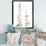 Beige Eucalyptus Branches On White