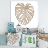 Ivory Pastel Monstera Heart Shaped Tropical Leaf