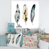 Colourful Boho Feathers V