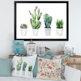 Cactus Succulent Aloe Vera Home Plants In The Pots