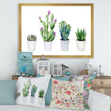 Cactus Succulent Aloe Vera Home Plants In The Pots