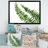 Fern Leaves Detail I
