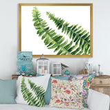 Fern Leaves Detail I