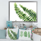Fern Leaves Detail I