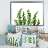 Fern Leaves Detail II