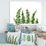 Fern Leaves Detail II