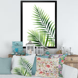 Fern Leaves Detail III