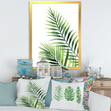 Fern Leaves Detail III