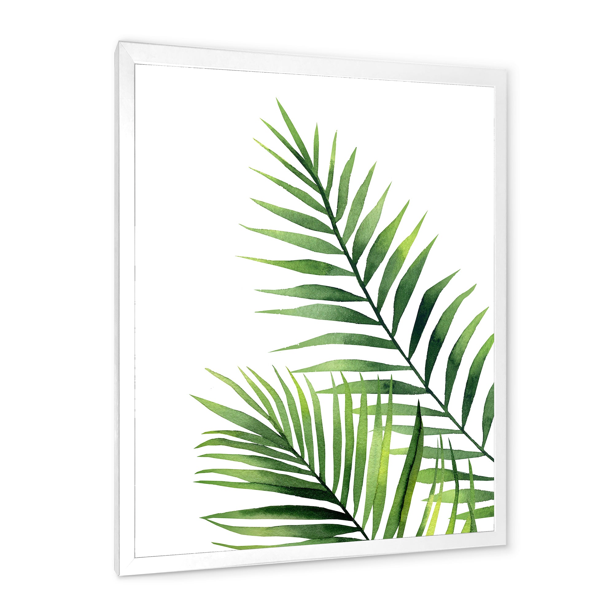 Fern Leaves Detail III