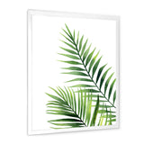 Fern Leaves Detail III