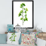 Green Field Plant Foliage