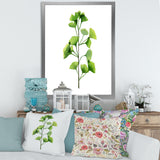 Green Field Plant Foliage